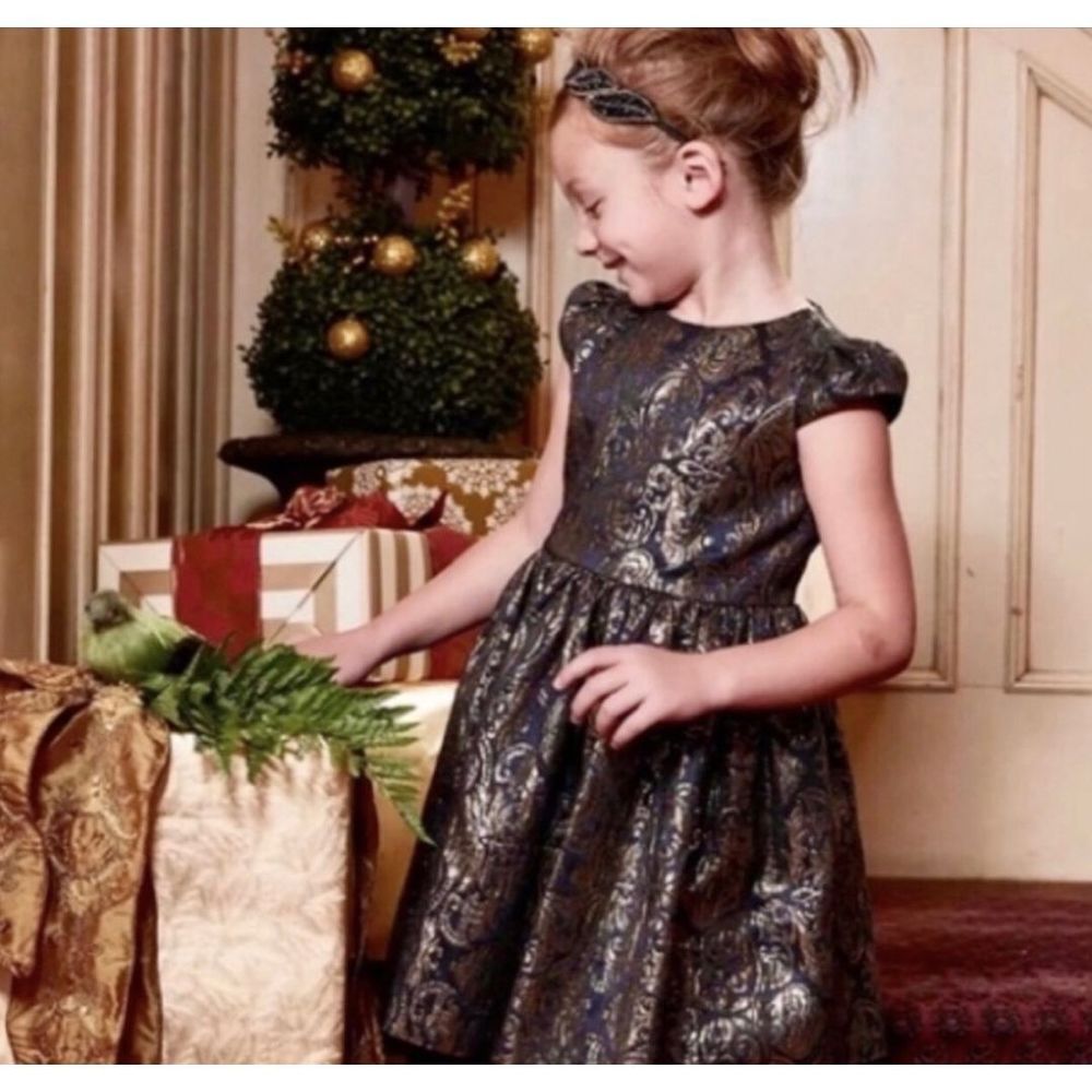 Chasing Fireflies Royal Brocade Party Dress - Girls 7